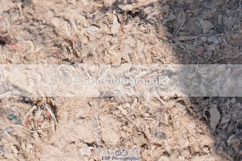 250503-101028-00135 - Cls 17+18 Club and Schools 60cm