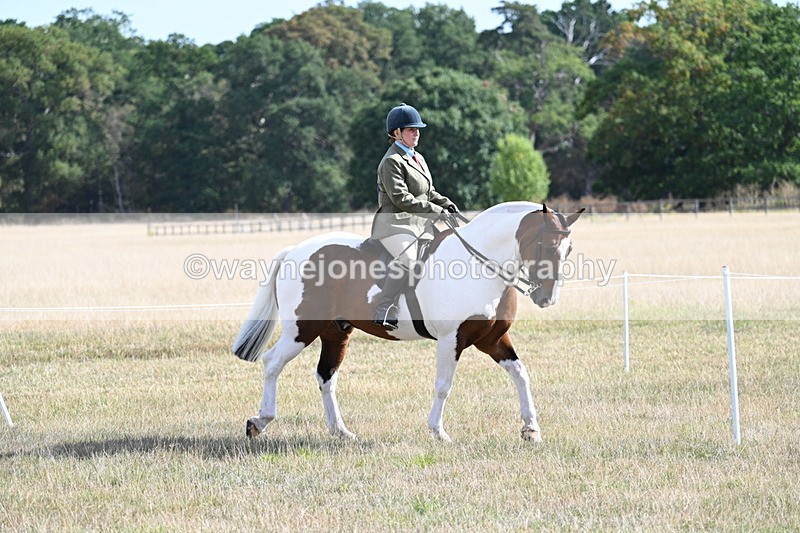 WJ7_2695 - Class 8 Ridden Tack & Turnout