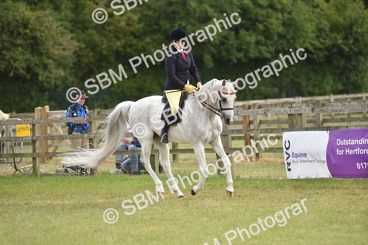 SBM_18161 - Class 122-123 - LIHS BHSA Raising Star Style and Performance Series