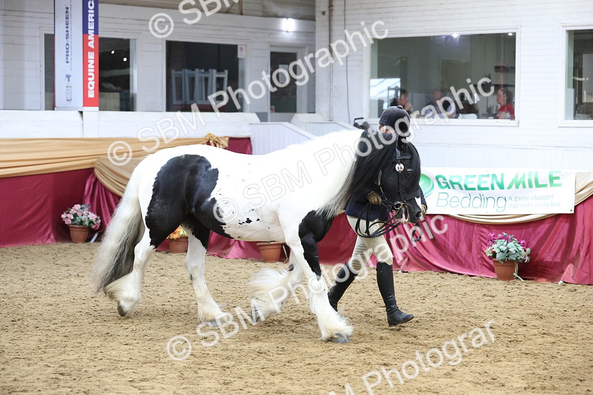 SBM_23678 - class 906 - Supreme Final - Ridden Pre Vet
