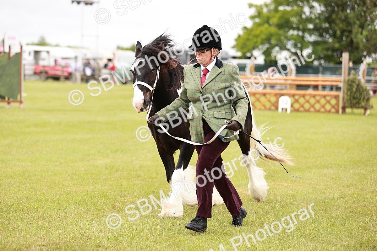 SBM_05986 - Class 39-41 TGCA In Hand and Ridden
