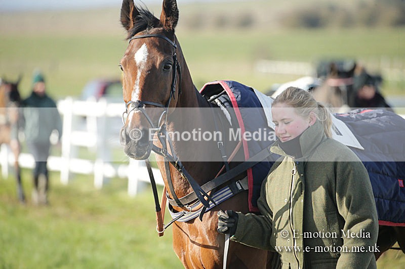 PtP 011219-0029 - Hursley Hambledon Hunt Point-to-Point 01/12/19