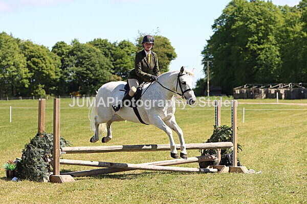 IMG_3840 - Working Hunter