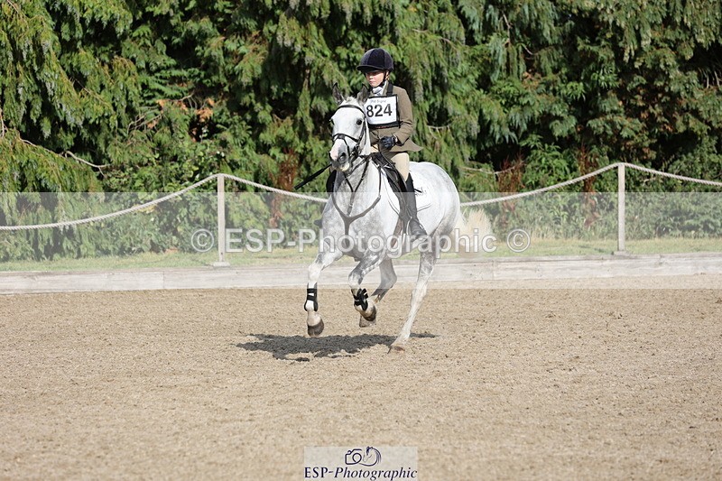 250803A-171811-17813 - R-824-Poppy.Wilkinson-DAISY.DER.BLUME