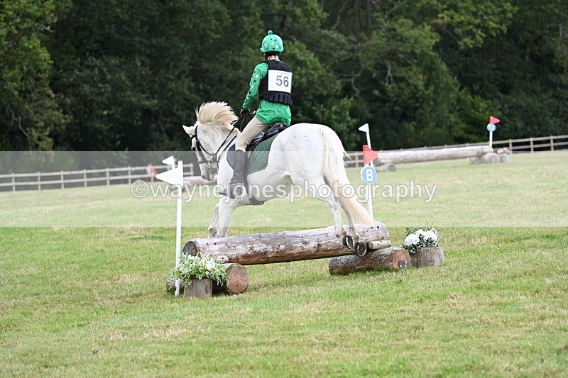 WJ7_8525 - 60cm Time 12:11 to 12:30