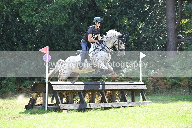 WJ5_2391 - XC Time 11:17 to 11:50