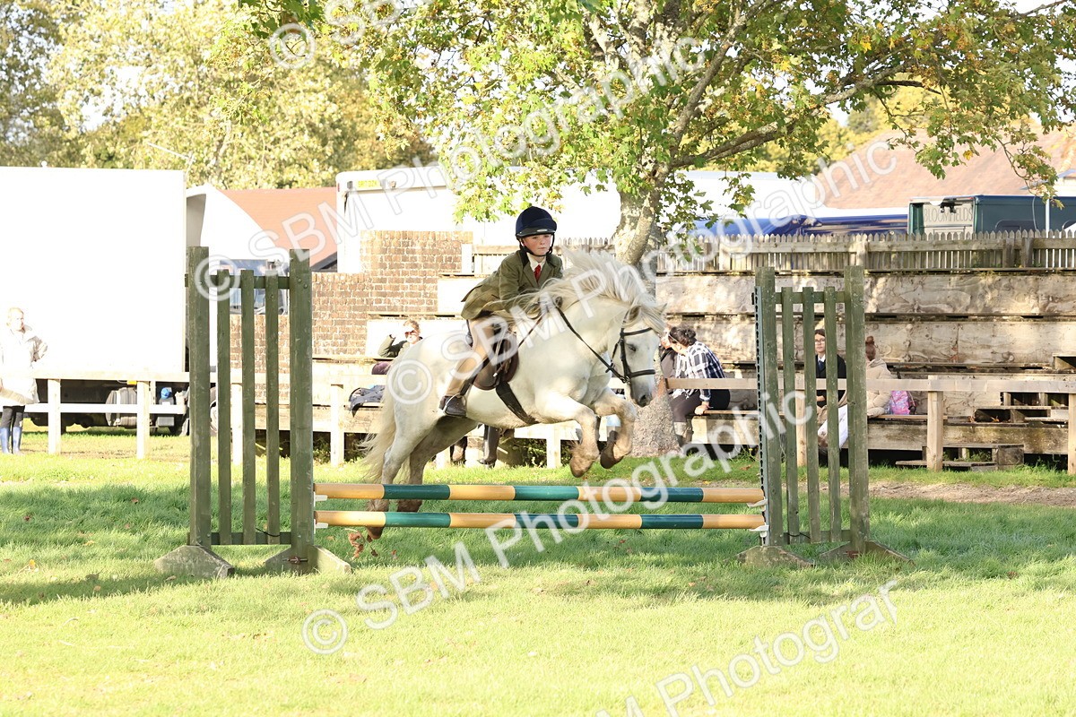 SBM_52596 - S13 - Pony Club Pony