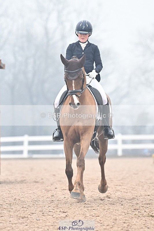 240217A-123001-02235 - 225-Lucy.Goodman-Queenie.S