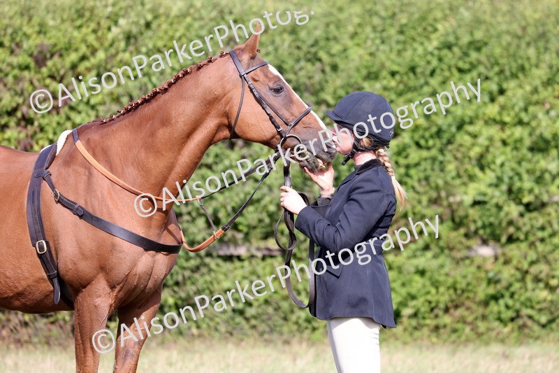 20260906-0686 - Class 22 - Ex Racehorse