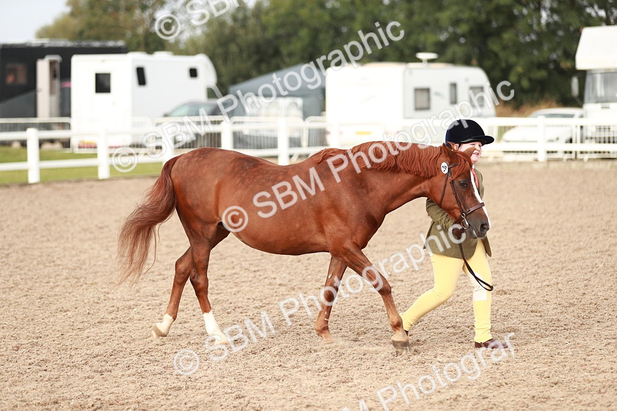SBM_09838 - Class 203 Young Handler, 10 years and under