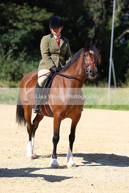 3E7A7939 - Class 14: Tack and Turnout