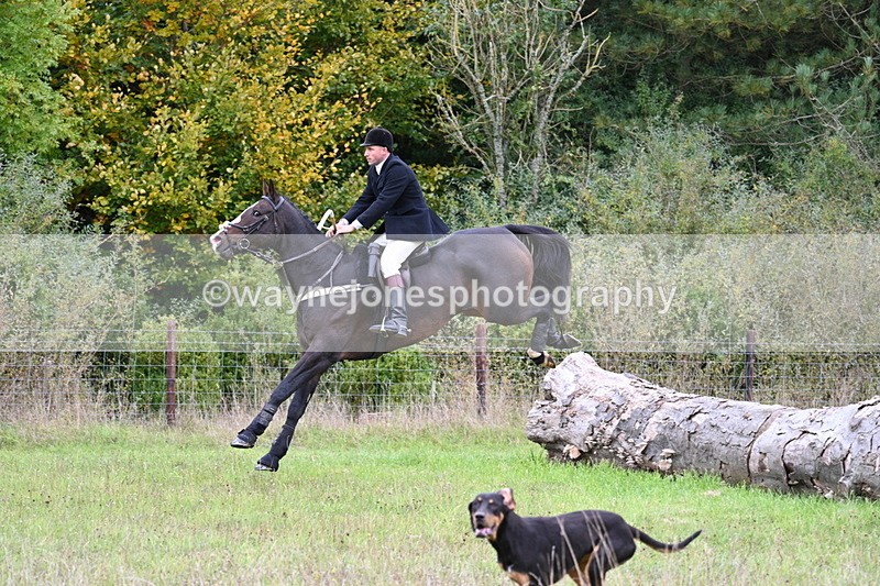 WJ7_3597 - Camera 1 Line 1