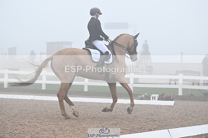 240217A-131413-02777 - 271-Tom.Carter-Rubin.Regal