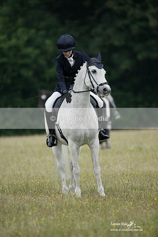 BVRC 030721 576 - Bourne Valley Riding Club Dressage 03/07/21