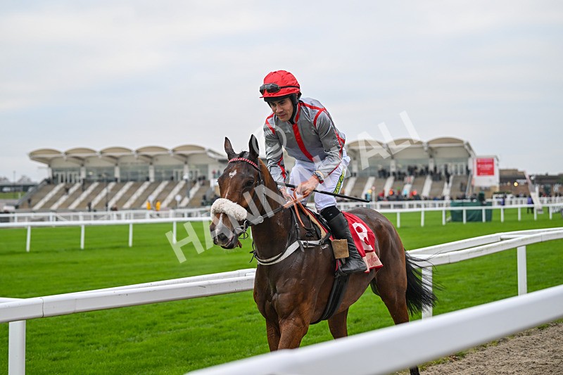 151124-Race 4-Sweet David-8319 - Race 4