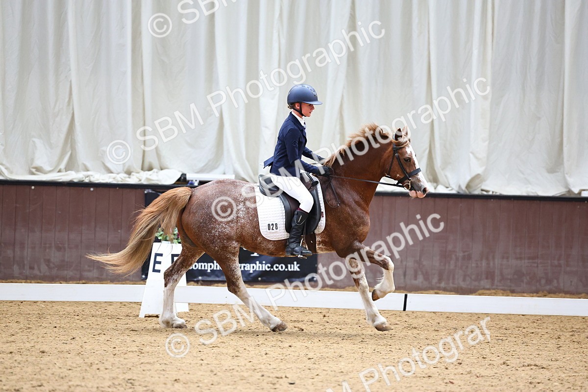 SBM_003556 - Prelim 2