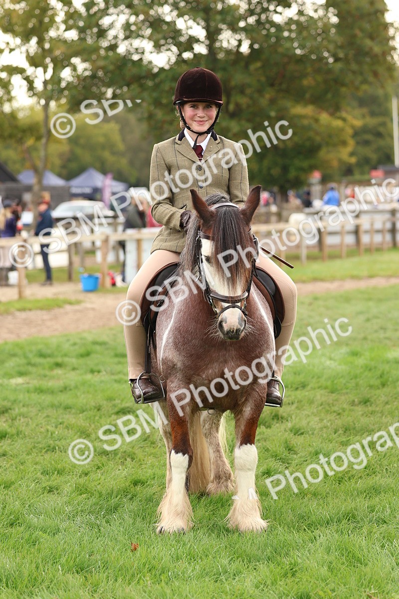 SBM_56703 - S40 - Starters Ridden Showing