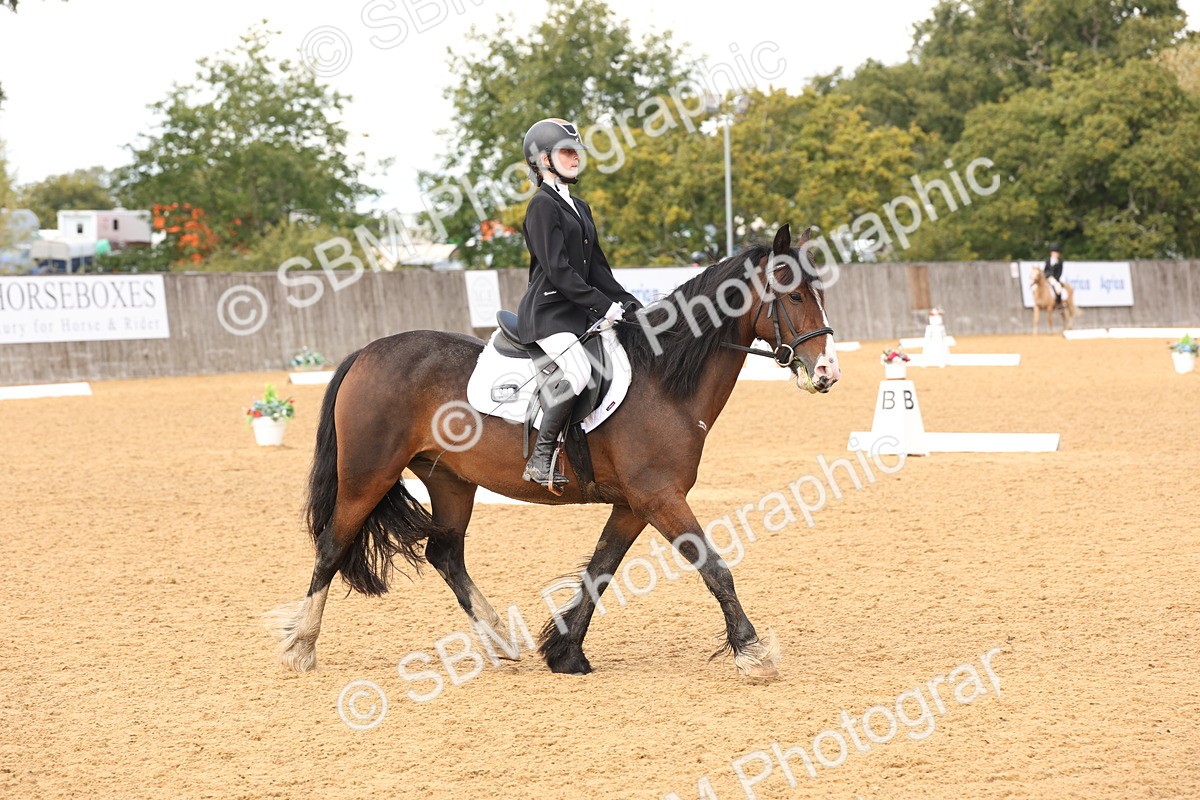 SBM_44192 - D6 - Small Tour Championship Intro 4