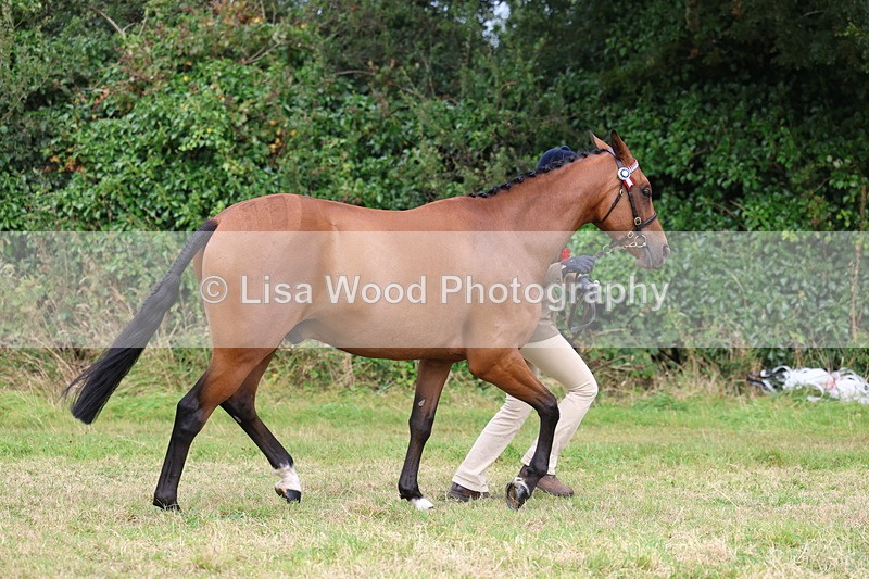 3E7A5666 - In Hand Championship