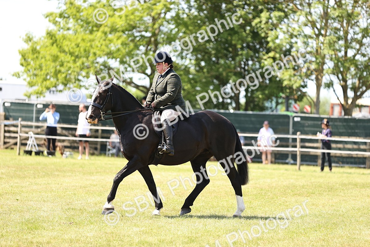 SBM_17858 - Class 81-83 - TSR Ridden Amateur of the Year - Horses