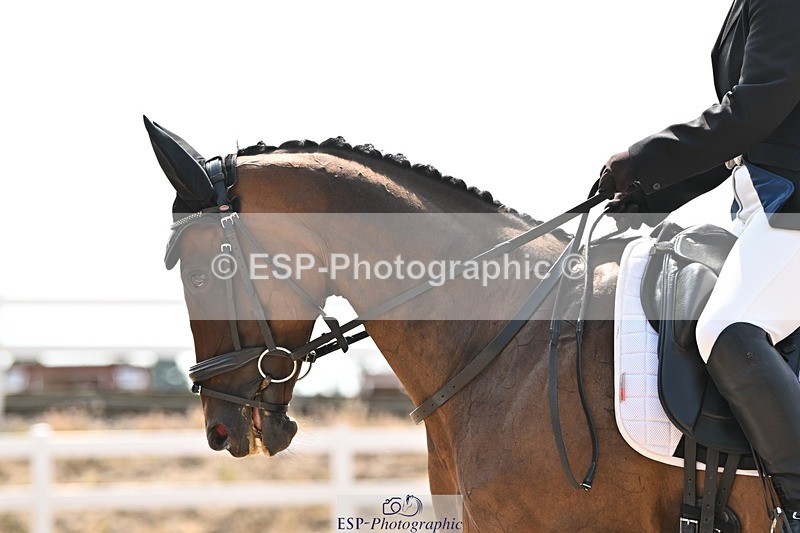 250815-132125-01434 - 005-Patricia.HaskinsGaelic.Surprise