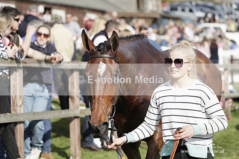 PtP 080423 676 - Dingley Races The Woodland Pytchley Hunt PtP 08/04/23