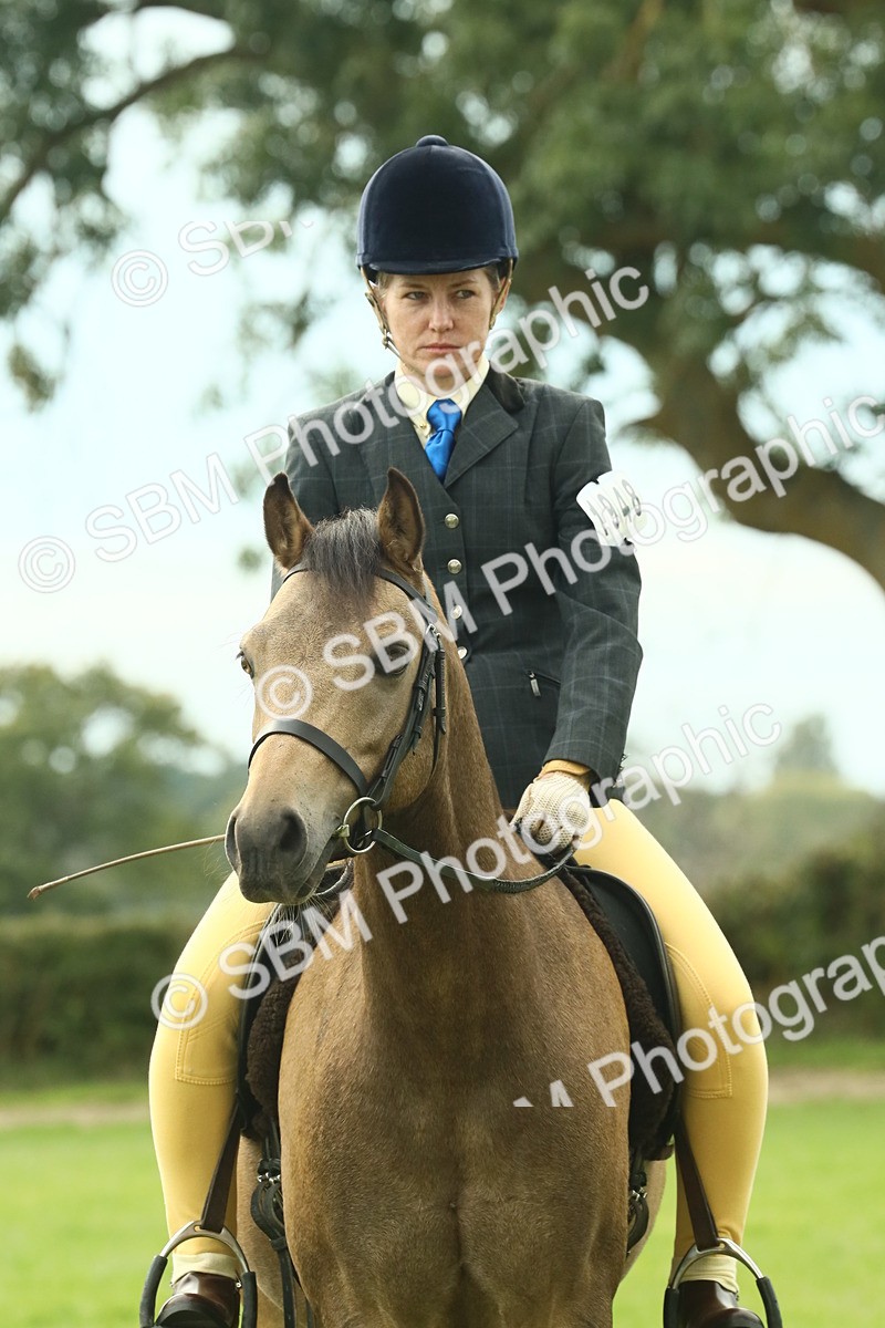 SBM_69993 - S59 - Mountain & Moorland Ridden Small Breeds