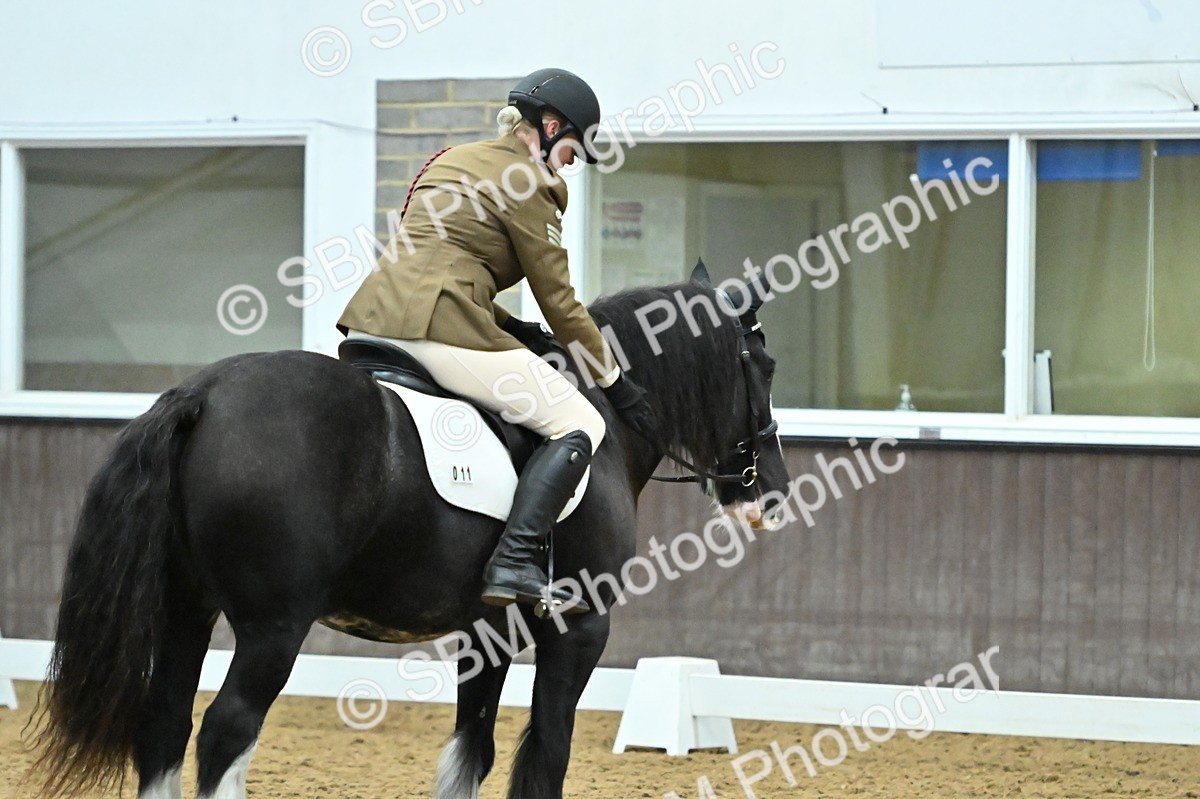 SBM_007473 - Class 81 - Novice 3