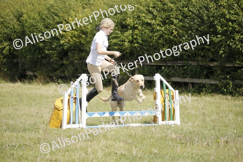 20250831-3845 - Dog Show