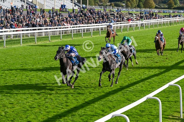 111024-Race 6-Fondo Blanco-2134 - Race 6 4.20pm William Hill EBF Novice Stakes