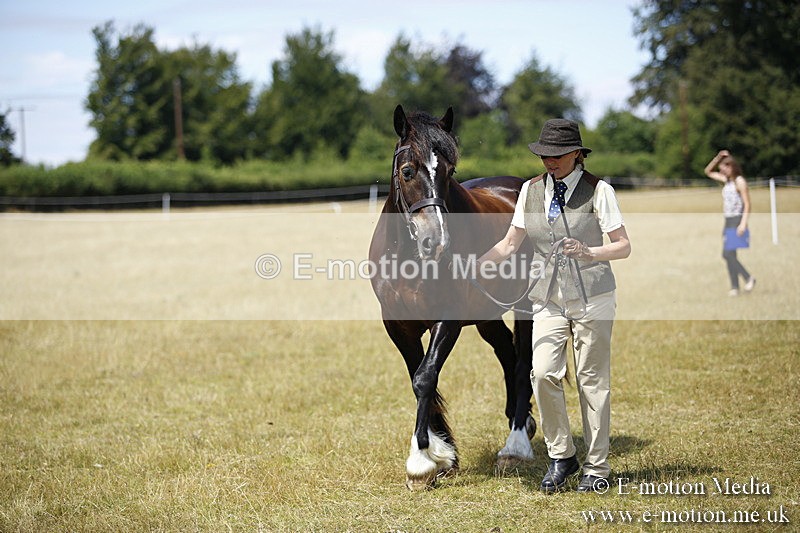 _C7A0018 - BVRC Sow 2018 Ring 2