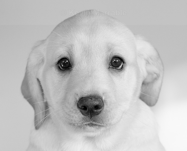  - Black & White