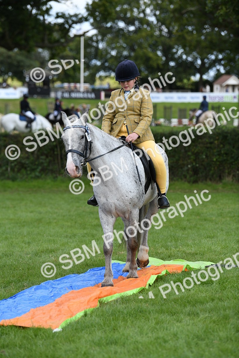 SBM_47180 - S12 - Family Horse & Pony