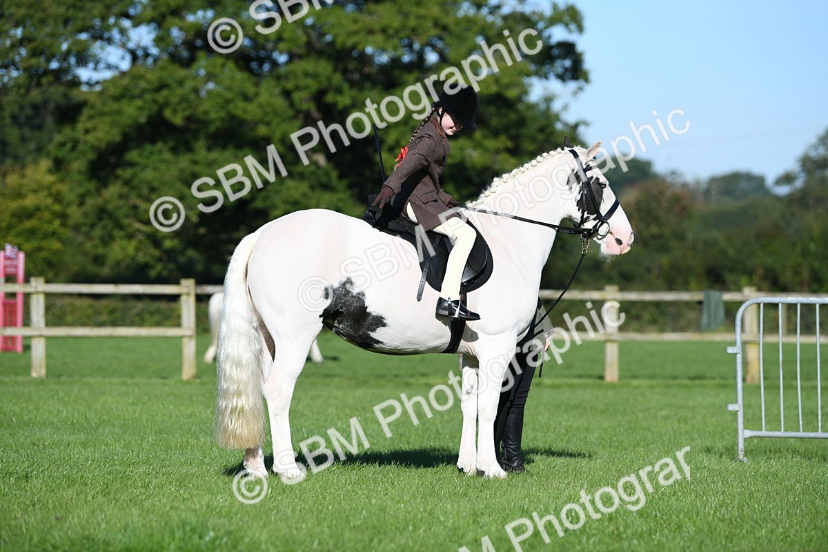 SBM_35321 - S17 - Condition & Turnout - Lead Rein