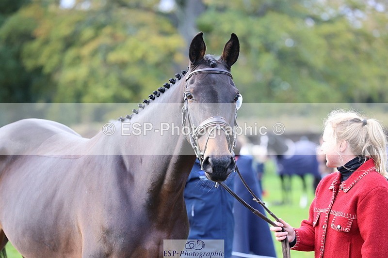 251026A-102453-22965 - E-383-Amy.Harris