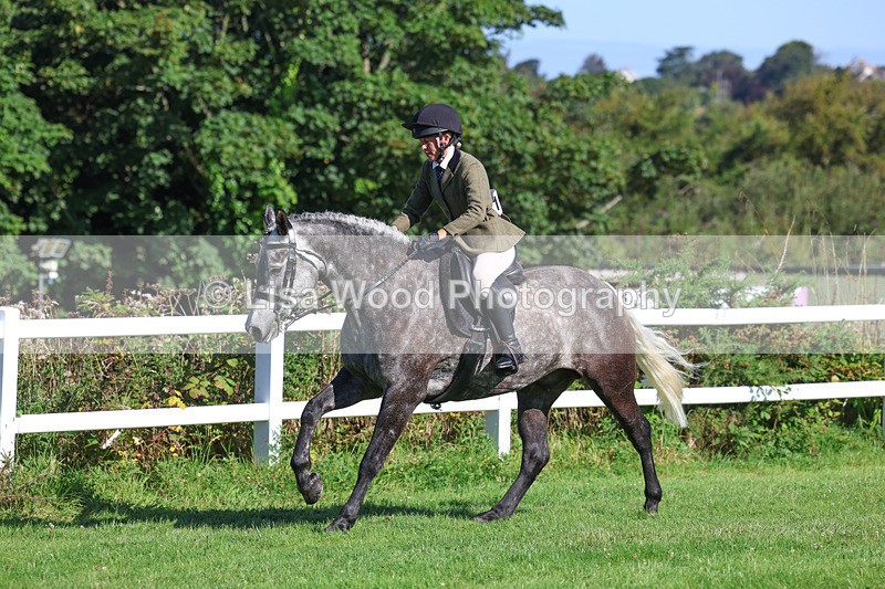 3E7A7850 - Class 2: Open Working Hunter pony