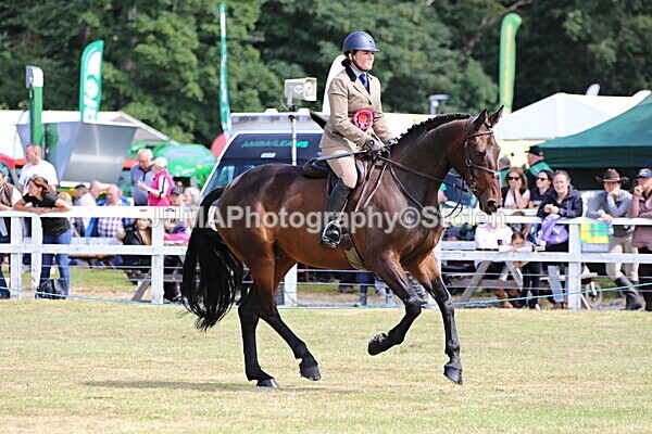SIAL3603 - Championships