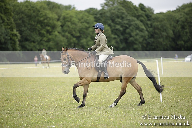 BVR160717-803 - Ring 1 BVRC Show 16/07/17