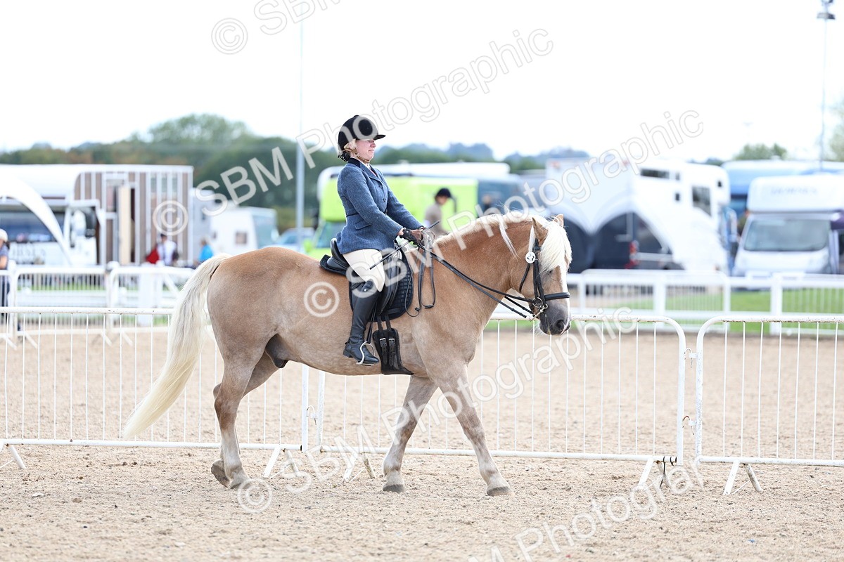 SBM_17058 - Class 315 - Best Horse - Rider Combination