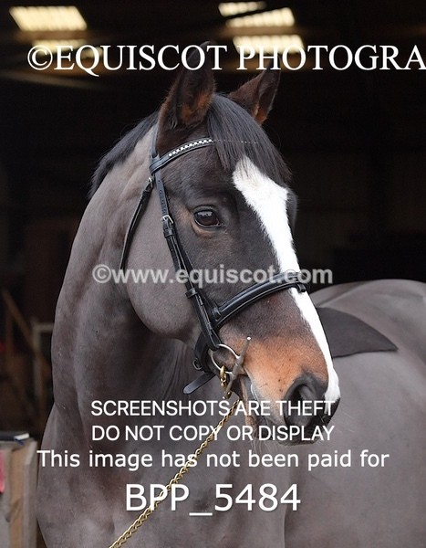 BPP_5484 - Morag Johnston