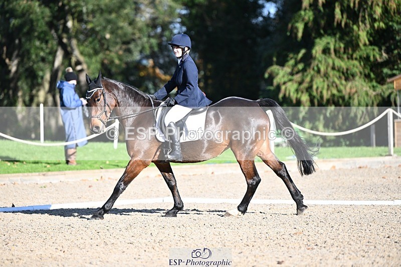 231110-132502-00931 - Cls 4 Novice 39Q