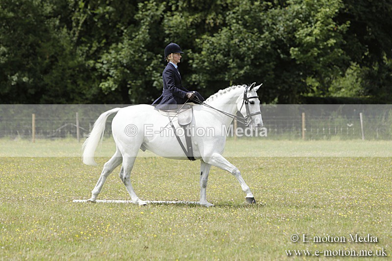BVR160717-2058 - Class 4 & 5 Dressage 16/07/17