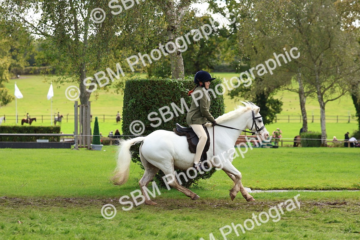 SBM_45238 - S27 - Young Veteran Ridden