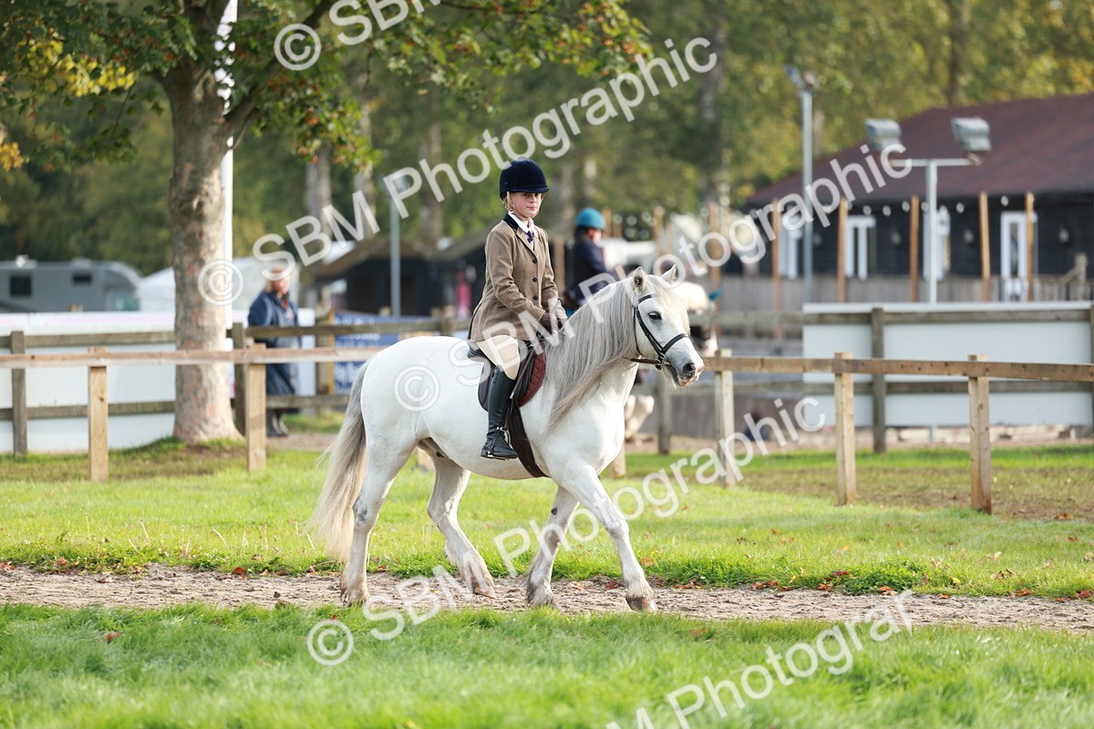 SBM_56344 - S39 - Starters In Hand Showing