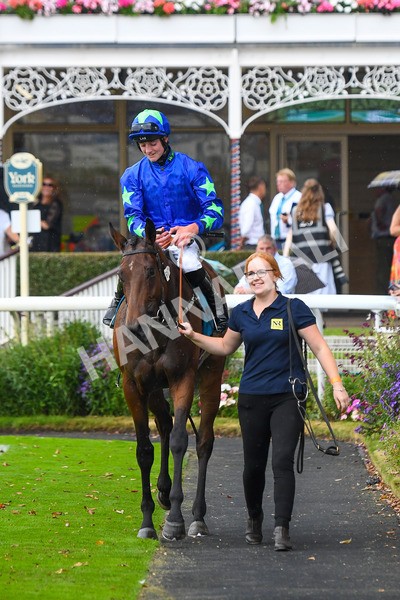 100923-Race 6-Anjo Bonita-1096 - Race 6 4.25pm Hanson Springs 60th Anniversary Handicap at York