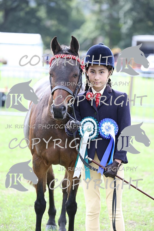 APP_2661 - Class 9 Veterans in hand