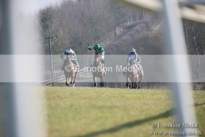 PtP 230219 343 - Vine & Craven Point-To-Point - Barbury 23/02/19