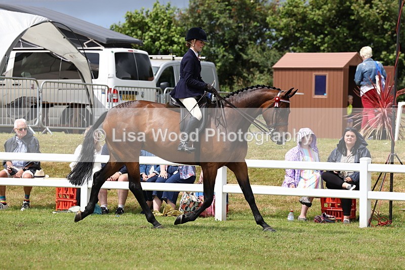 3E7A0854 - Class 8: Open Riding Horse/Hack