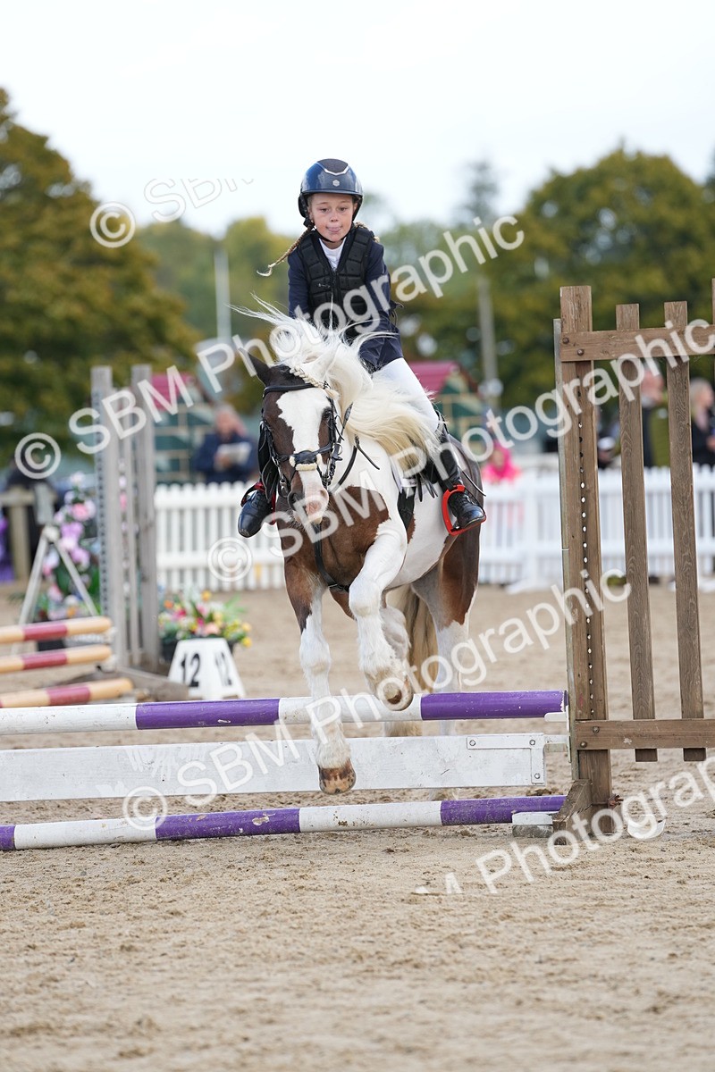 SBM_21100 - J49 - Open 50cm