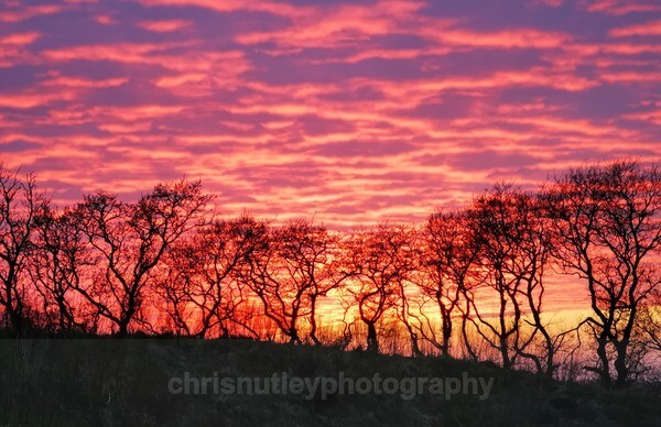  - British Landscapes